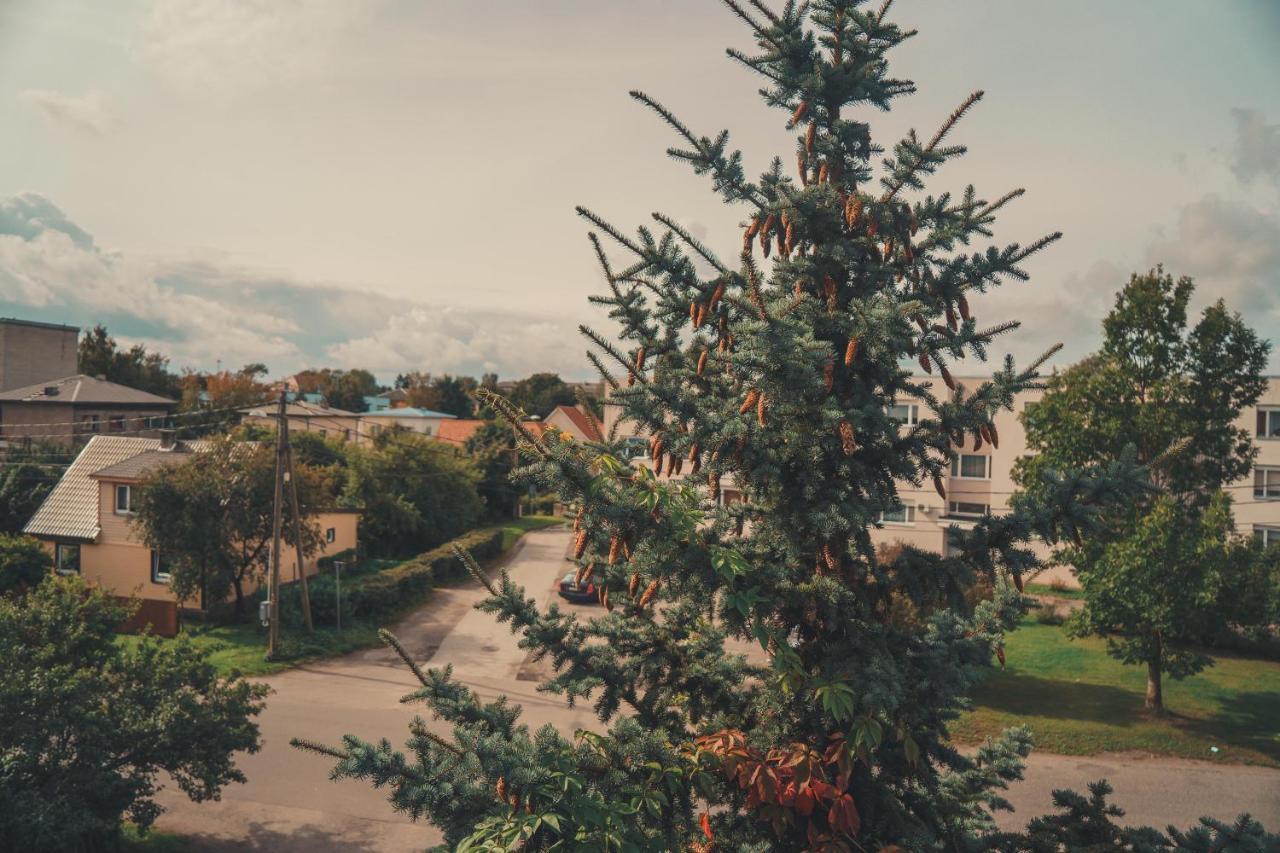 Hotell Paeaesuke Jõhvi Zewnętrze zdjęcie